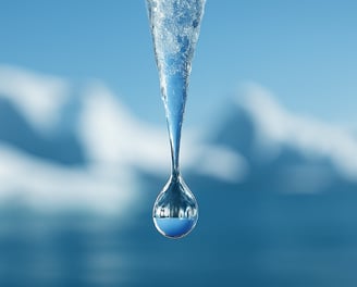 journée mondiale de l'eau