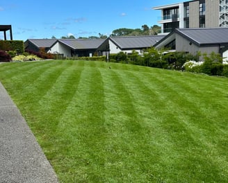 a low angle view of a striped lawn with a lhouse in the background