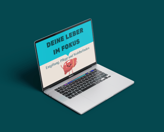 Online Kurs rund um die Leber