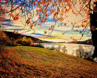 Herbstlicher Morgen am Schluchsee