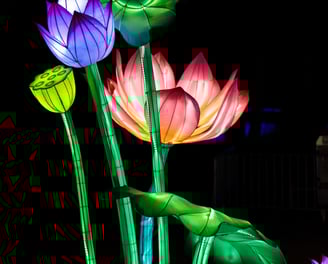 Splendeurs de Chine Céret évènements photos 66 perpignan photographe