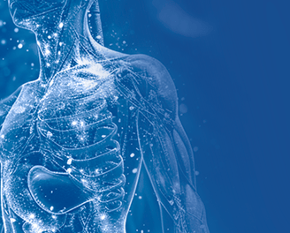 Transparent 3D human body model representing innovation in minimally invasive surgery