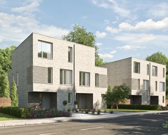 Kozijnen en deuren hele woning
