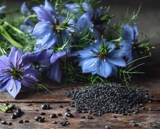Nigelle et cumin noir