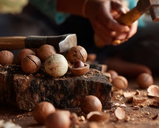 Femme qui casse des noix de macadamia