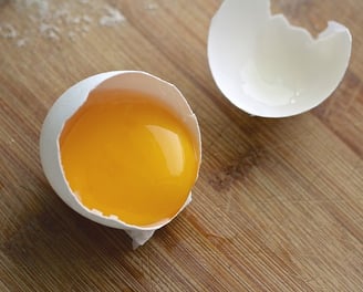 Conheça melhor Planta de Fábrica de Ovo Inteiro em Pó