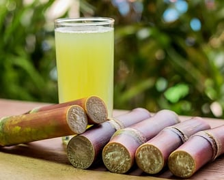Fale conosco sobre Como Montar uma Fábrica de Caldo de Cana