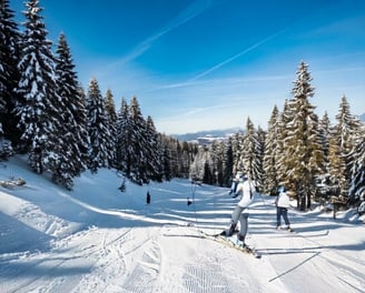 Skifahren im Bayerischen Wald