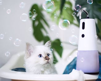 a white cat in a bathtub with soap bubbles