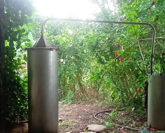 destilación aceites esenciales, alambique, proyectos permacultura, plantas medicinales
