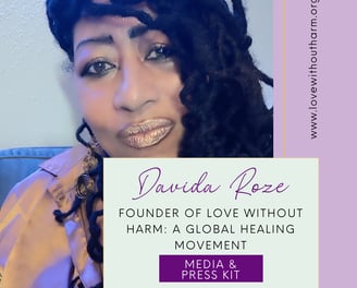 Davida Roze Press & Media Kit Cover