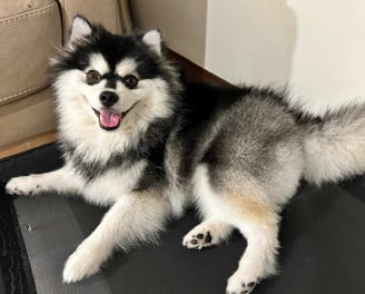 our guardian of happiness
