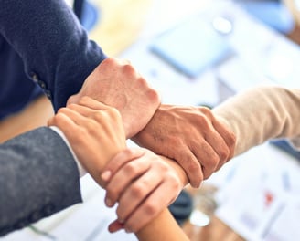 project collaboration transversality