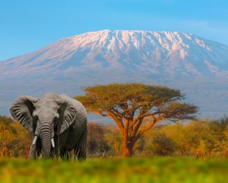 Monte Kilimanjaro