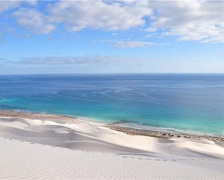 Socotra guide