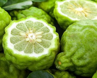Zesty & Fresh - BERGAMOT & LIME