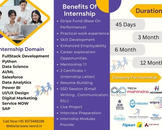 Software Internship In IT