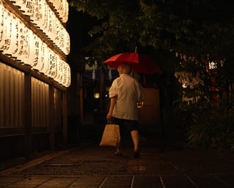 Japan photographie
