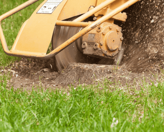 Stump Grinding