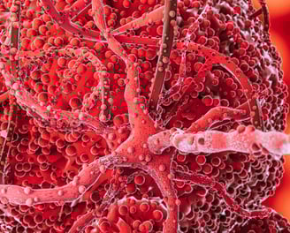 mRNA Cancer cells