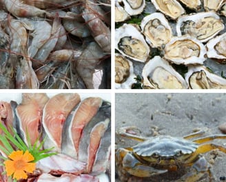 raw seafood