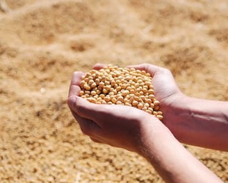 commodities