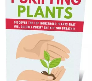 a book cover of purifying plants