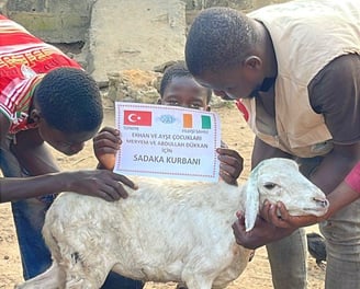 cihander kurban