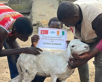 cihander kurban organizasyonu
