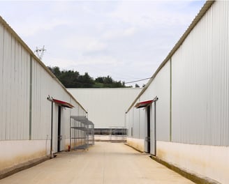 Preserved Flower Factory
