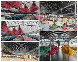 Preserved Flower Factory