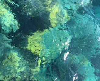 Title: Caribbean Cool - A photograph with blues and greens.