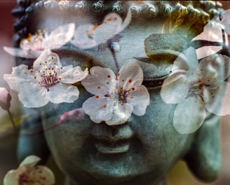 holistic therapies
