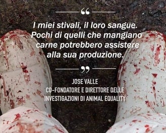 lobby alimentari veganoo 