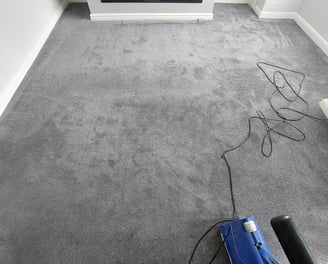 pet and food stained carpet in the process of being deep cleaned with powerful products