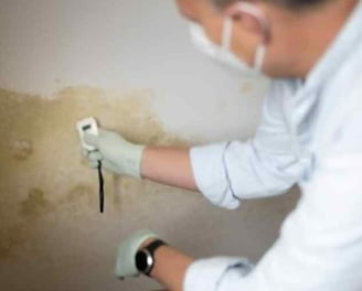 Basic Mold Inspection, Carlsbad, Vista, Oceanside