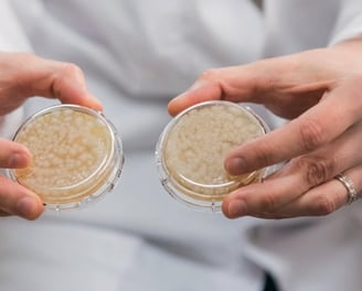 Pourquoi des probiotiques dans le nettoyage