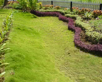 Eco-friendly vertical garden installation by Urbanspike Agro Fresh Pvt Ltd