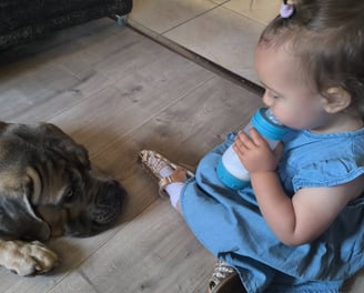 conseil canin famille instinct de meute