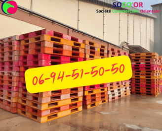 Palette Plastique Maroc