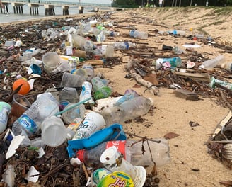 beach polluted with various plastic household cleaning packages