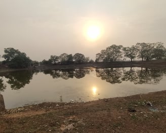 Pond
