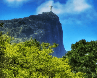Jardin-Botanique-Rio-de-Janeiro