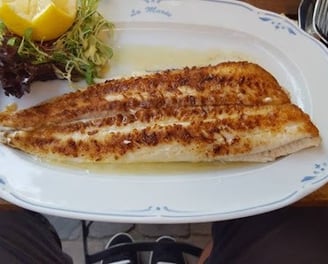 Bars & Restaurants in Brussels