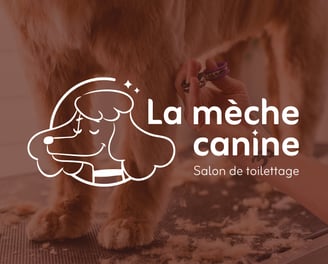 Qu'est-ce qu'une identité visuelle - La mèche canine - Amy blog graphique