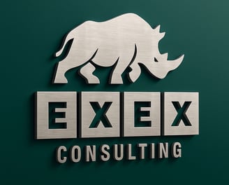 Exex consulting