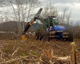 Mulching (mastication) of brush for firesmart treatment in wildland urban interface, Okanagan. 