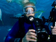 NAUI Novice Divers