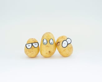 About 5i Behaviour Consulting