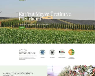 karfrut kurumsal web tasarım